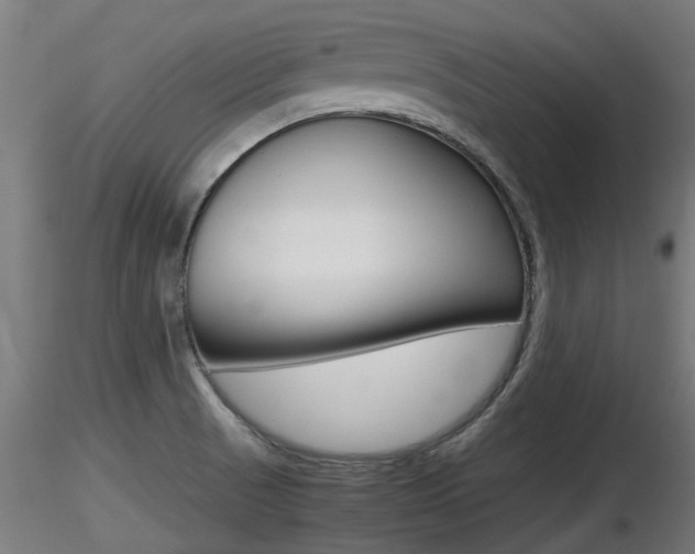 X0000116461521200912090915