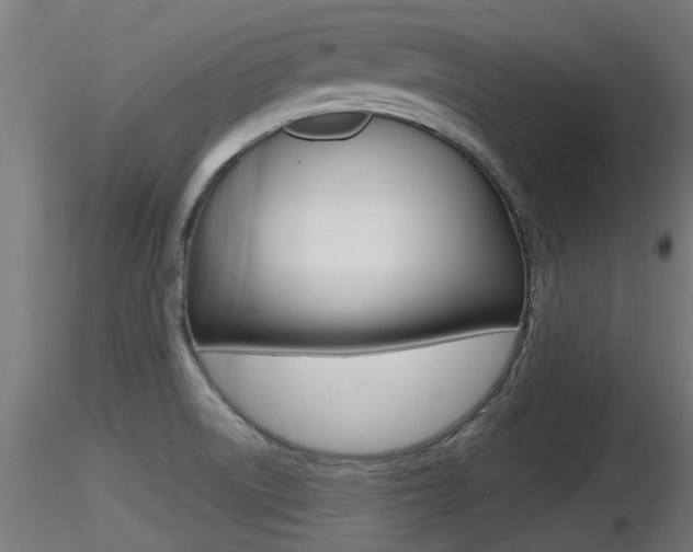 X0000116461522200912090915