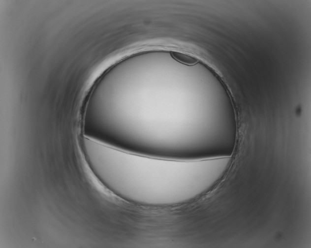 X0000116461523200912090915