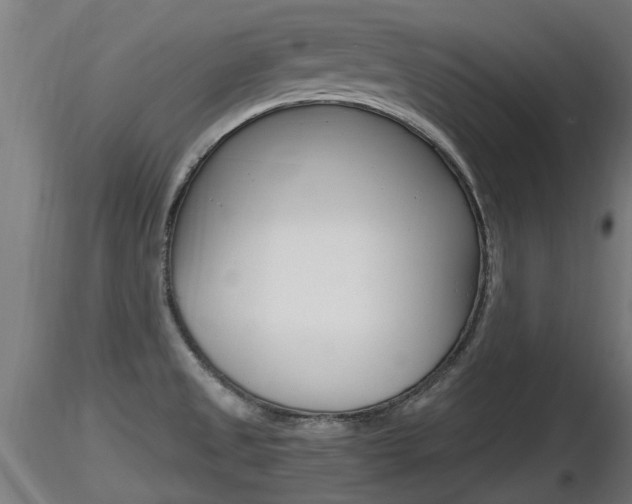 X0000116461525200912090915