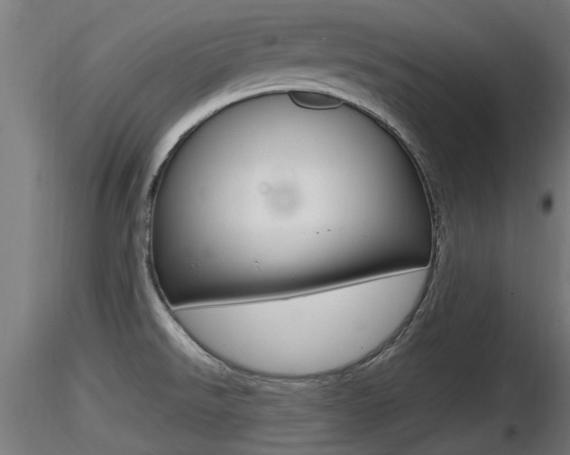 X0000116461526200912090915