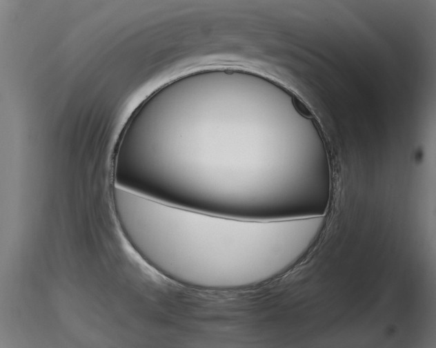 X0000116461527200912090915