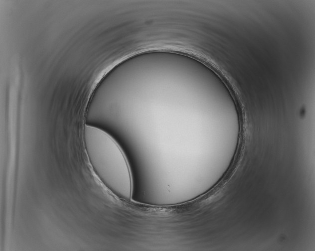 X0000116461529200912090915