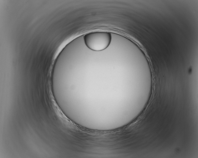 X0000116461530200912090915