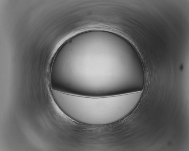 X0000116461531200912090915