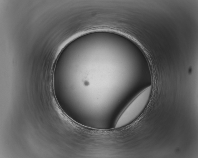 X0000116461534200912090915