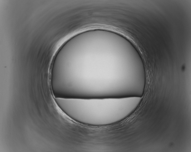 X0000116461535200912090915