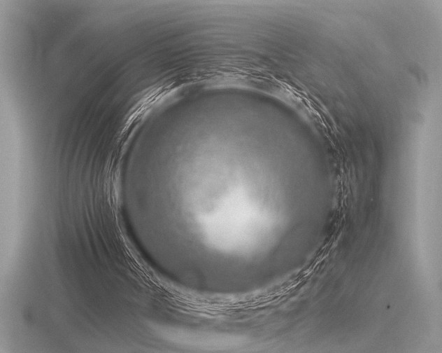 X0000116460002200912091258