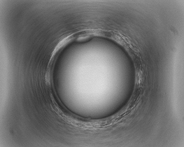 X0000116460004200912091258