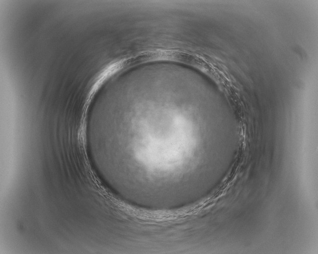 X0000116460006200912091258