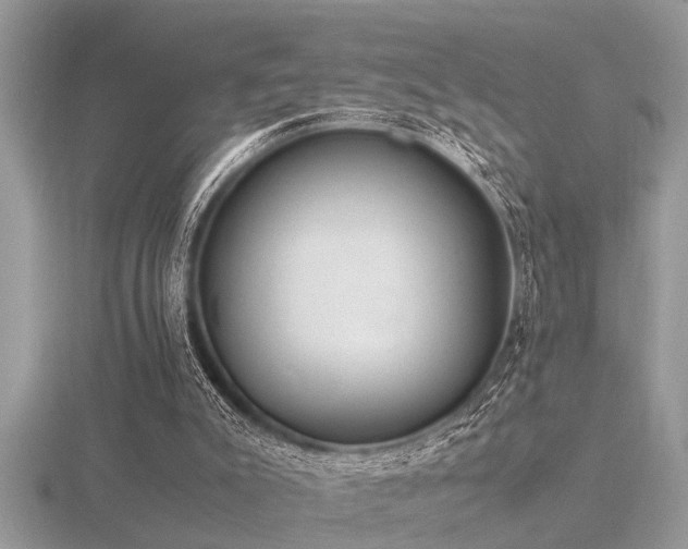 X0000116460007200912091258