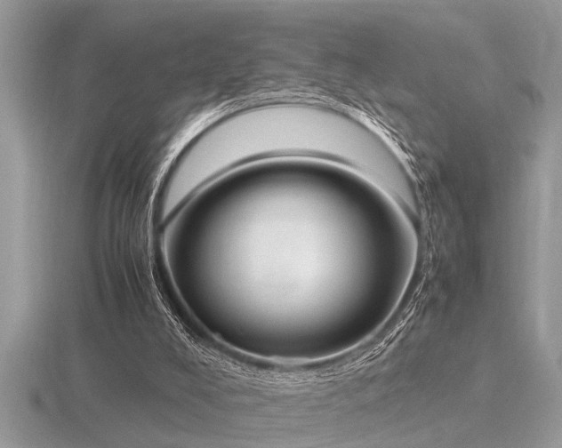 X0000116460008200912091258