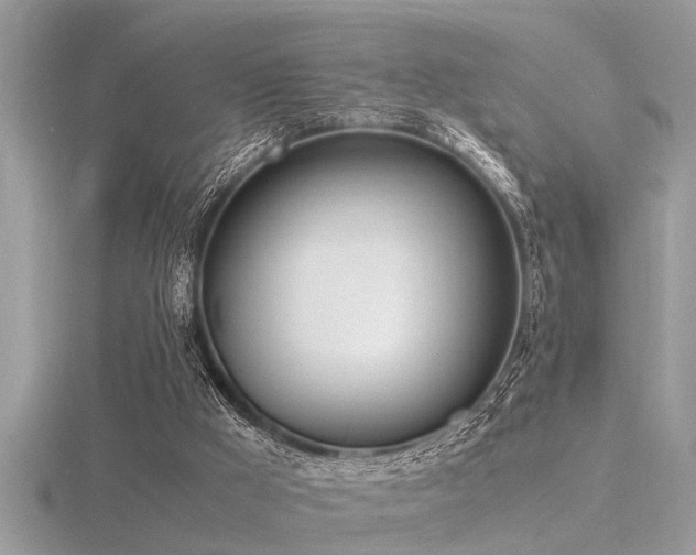 X0000116460009200912091258