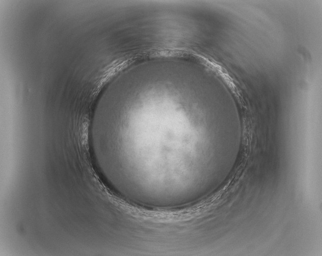 X0000116460010200912091258