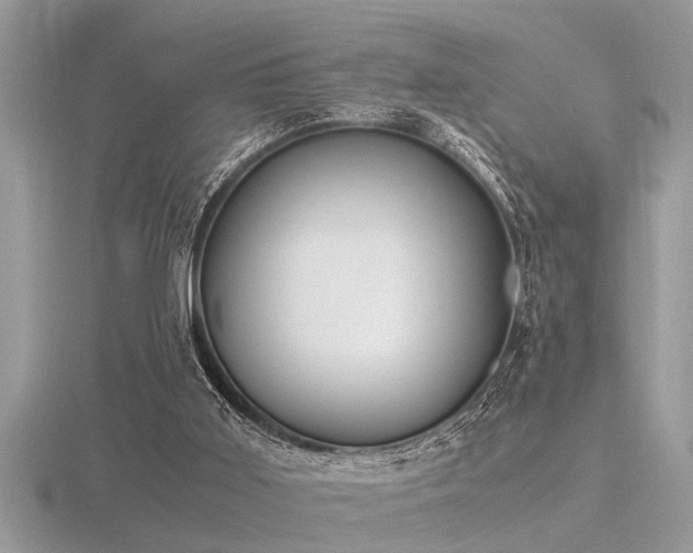 X0000116460011200912091258
