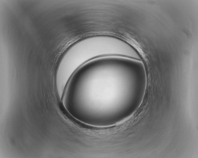 X0000116460013200912091258