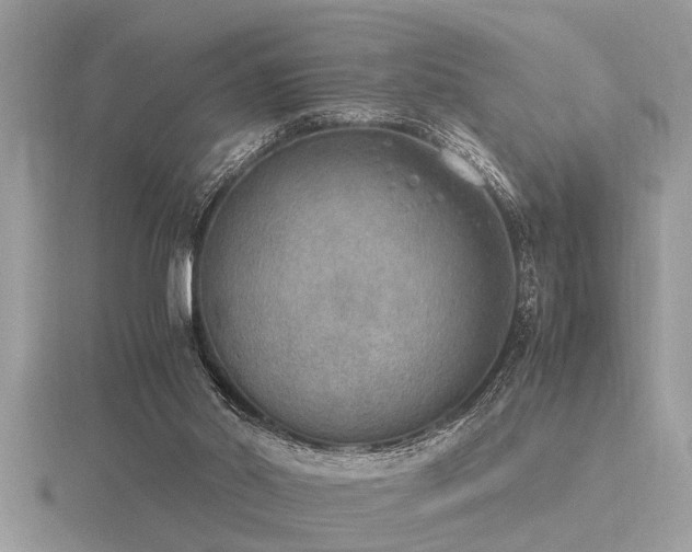 X0000116460014200912091258