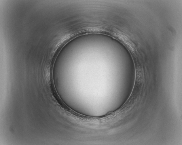 X0000116460015200912091258