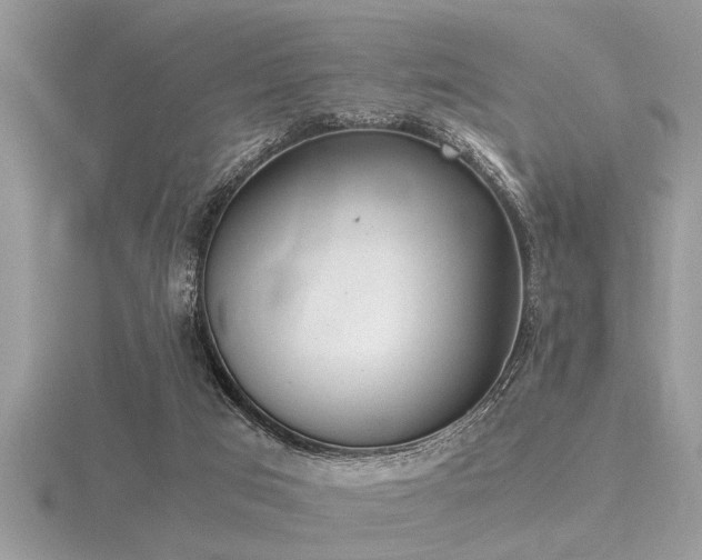 X0000116460017200912091258
