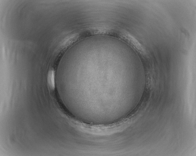 X0000116460022200912091258