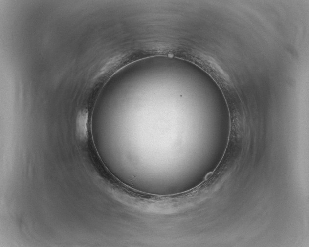X0000116460024200912091258
