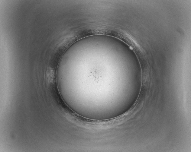 X0000116460025200912091258
