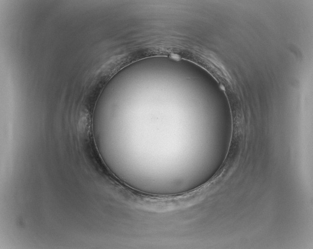 X0000116460029200912091258