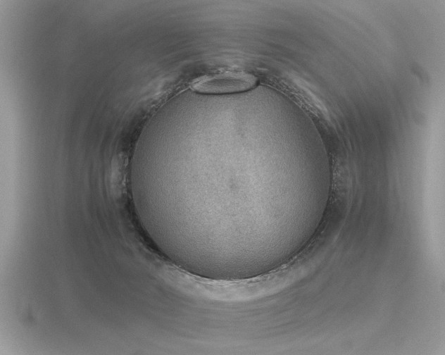 X0000116460030200912091258