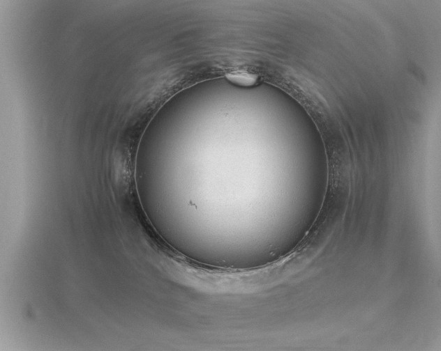 X0000116460040200912091258
