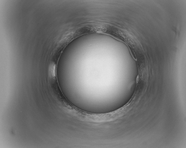 X0000116460041200912091257