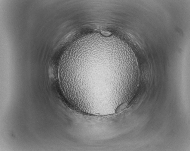 X0000116460044200912091257