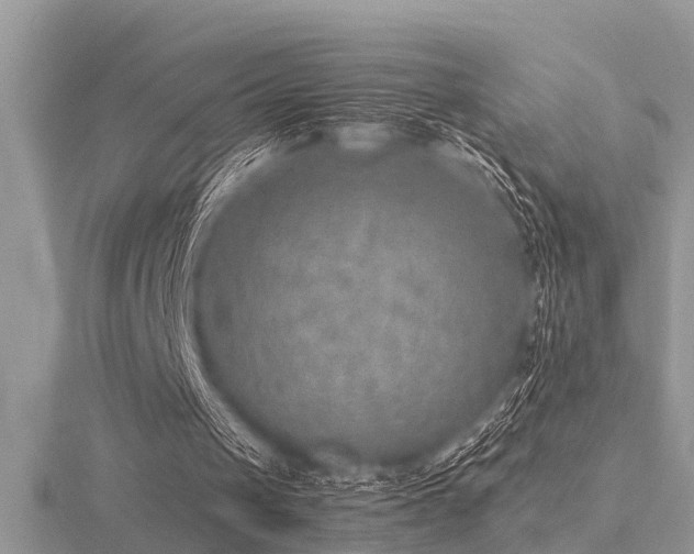 X0000116460049200912091257
