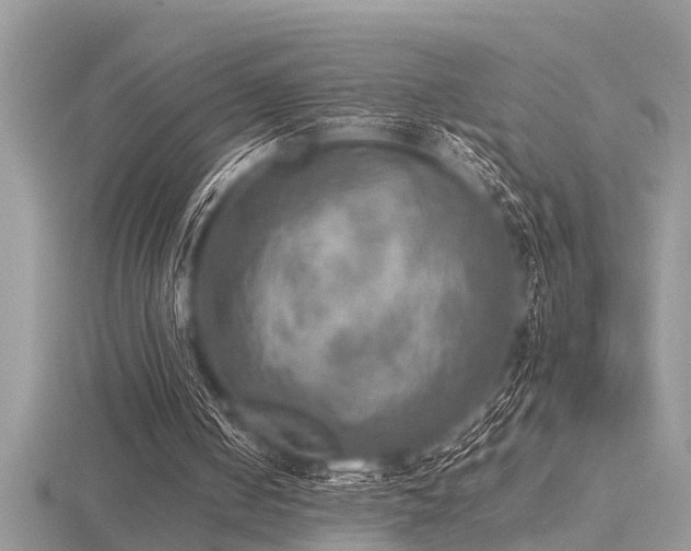 X0000116460050200912091257