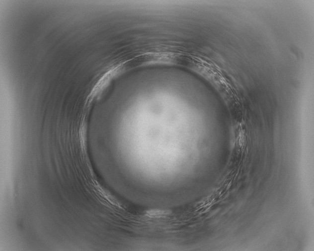 X0000116460051200912091257
