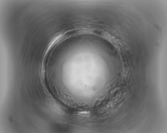 X0000116460053200912091257