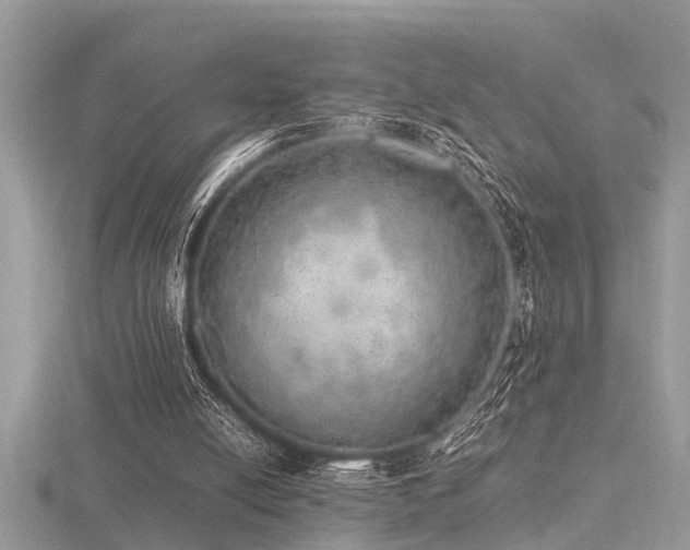 X0000116460054200912091257