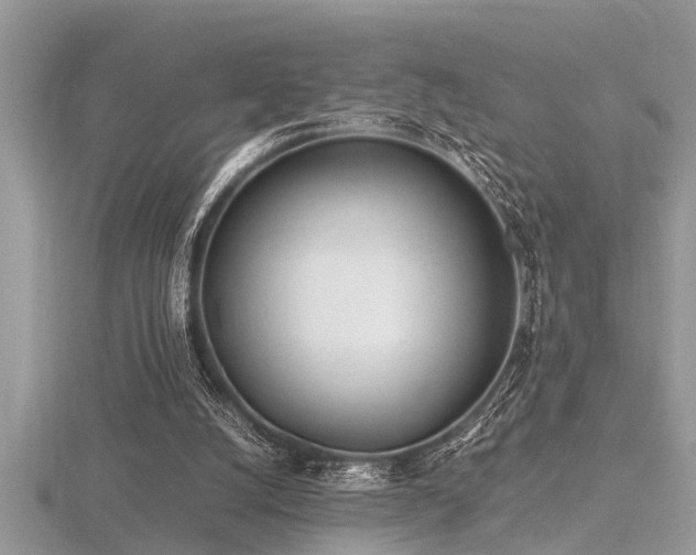 X0000116460056200912091257