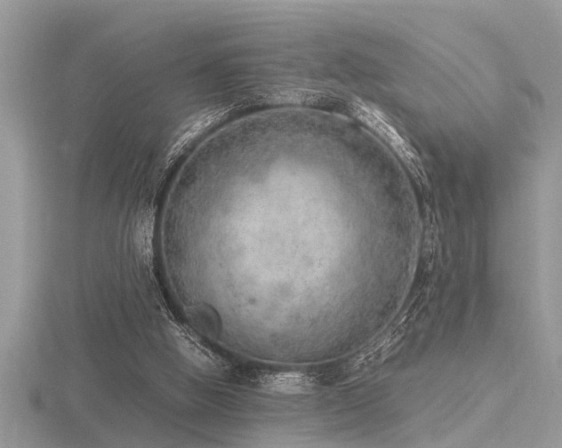 X0000116460058200912091257