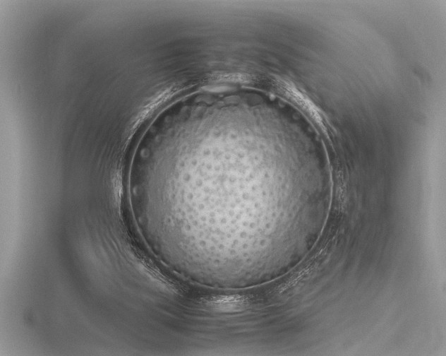 X0000116460059200912091257