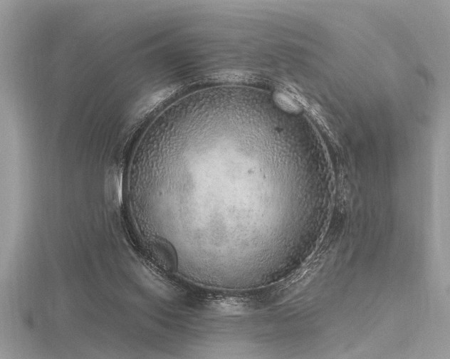 X0000116460062200912091257