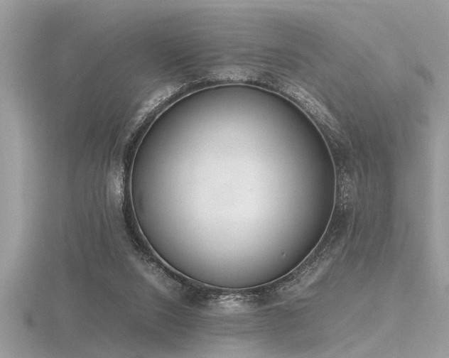 X0000116460064200912091257