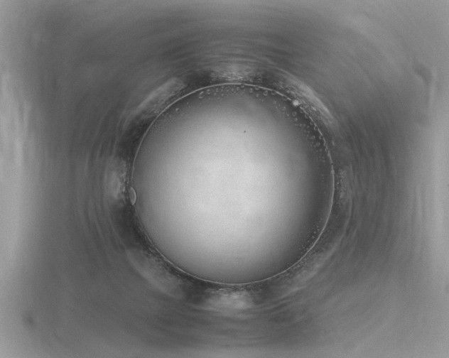 X0000116460073200912091257