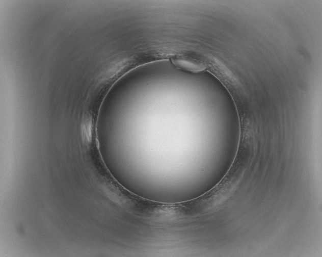 X0000116460076200912091257