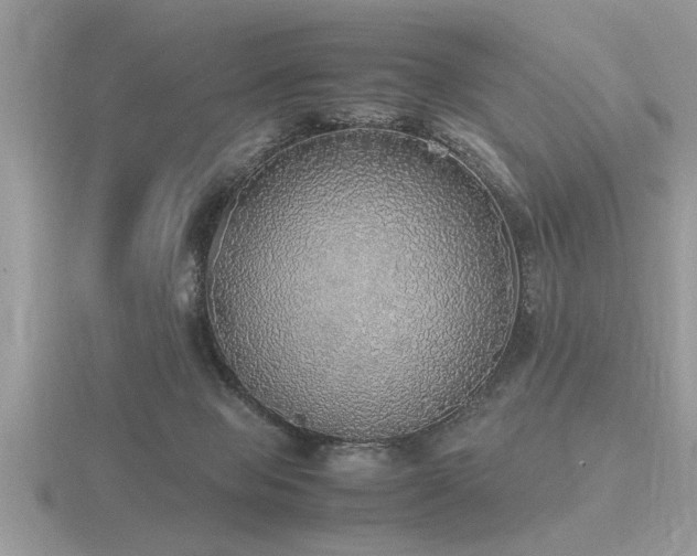 X0000116460077200912091257