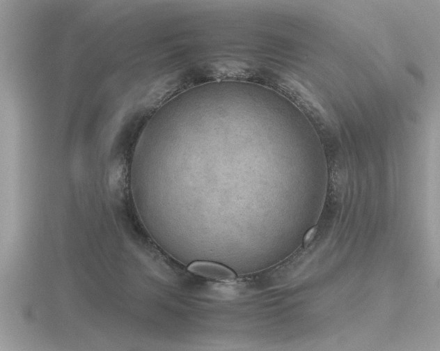 X0000116460079200912091257