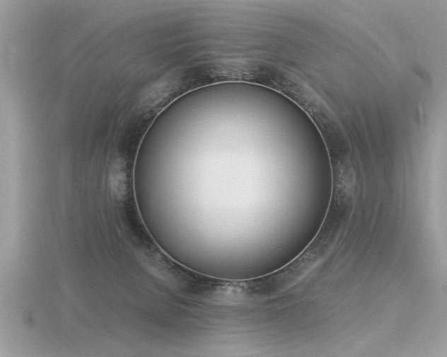 X0000116460080200912091257