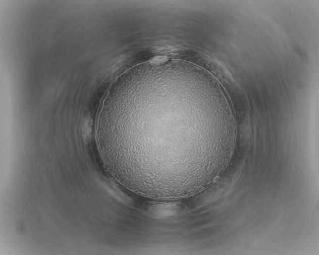 X0000116460081200912091257