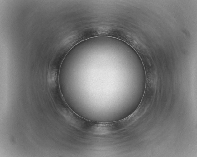 X0000116460082200912091257