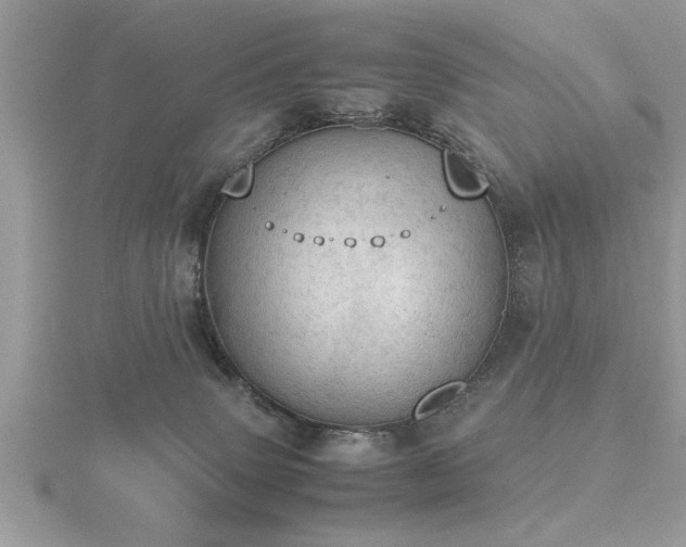 X0000116460083200912091257