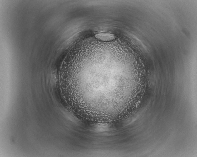 X0000116460085200912091257